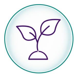 Hypnotherapy for sleep and insomnia in West Cornwall